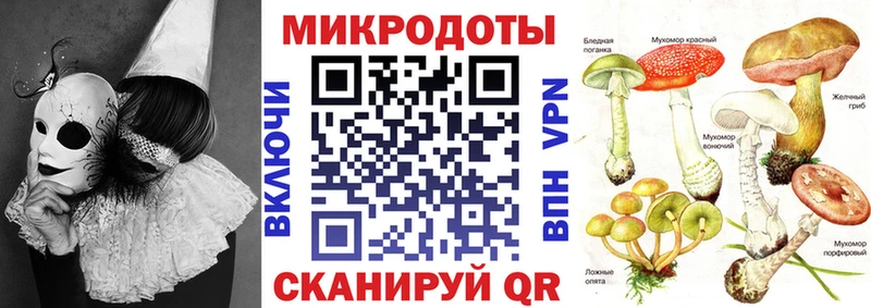 Галлюциногенные грибы Psilocybe Оха